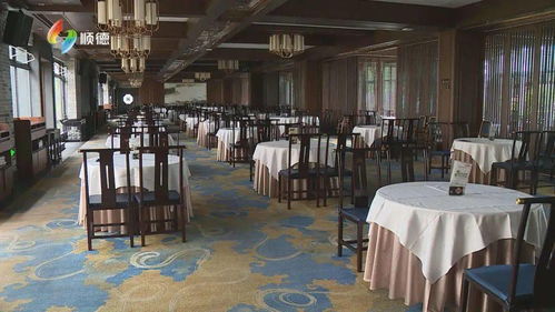 顺德餐饮企业转型外卖服务，传统味道融入现代步伐