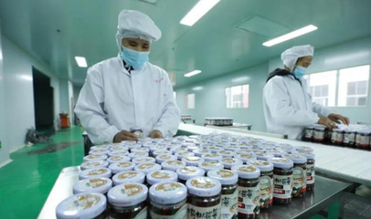 自动化赋能产业升级 剑河县食用菌精深加工日产量达6万瓶